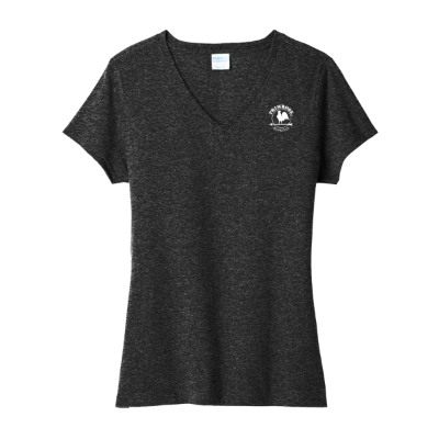 PR Tri-Blend V-Neck Tee