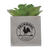 Mini Faux Potted Plant