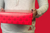 Wrapping Paper Roll